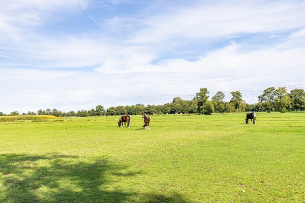 Medium property photo - Halbe Wiersemaweg 6, 9365 TB Niebert